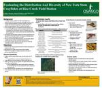 Evaluating the Distribution And Diversity of New York State Crayfishes at Rice Creek Field Station